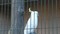 野鳥の森05