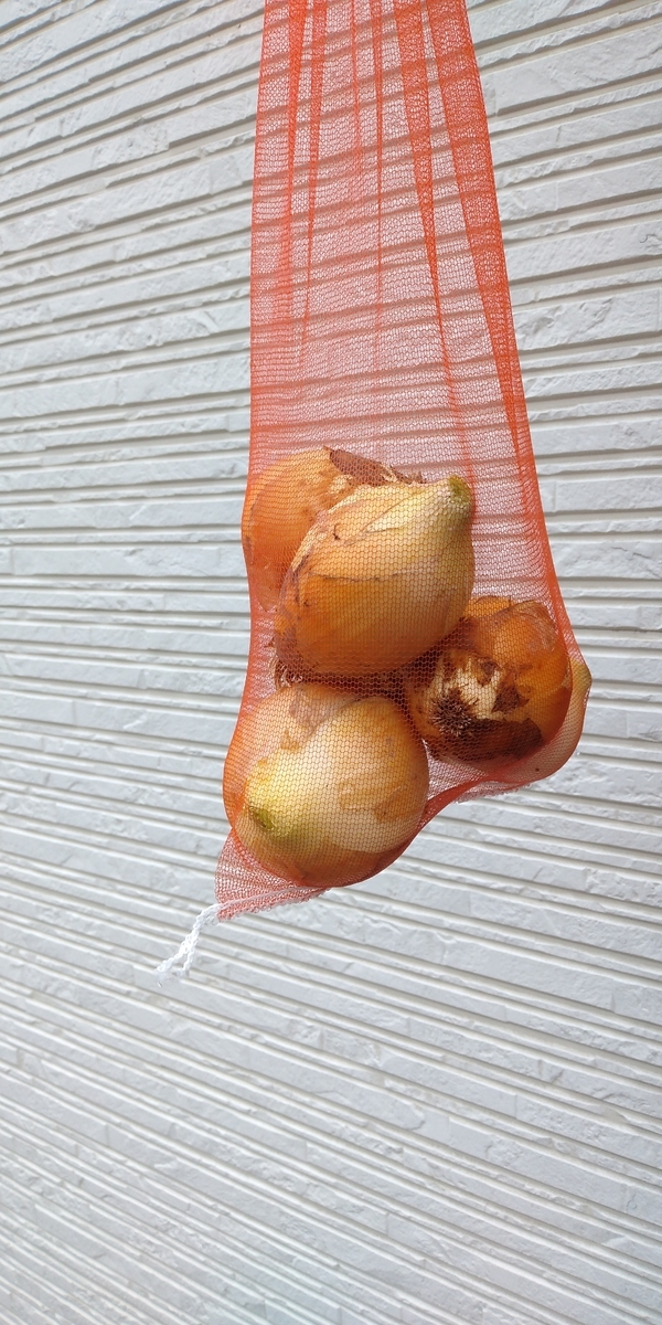 f:id:ptenjin:20200518092650j:plain
