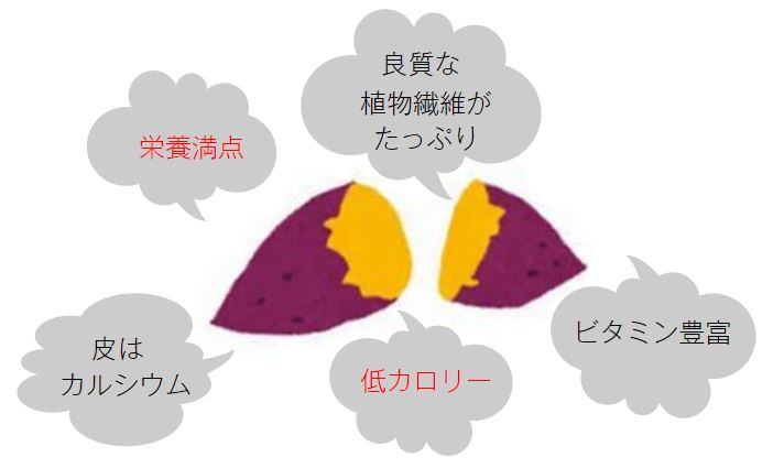 f:id:ptgj:20161116211730j:plain