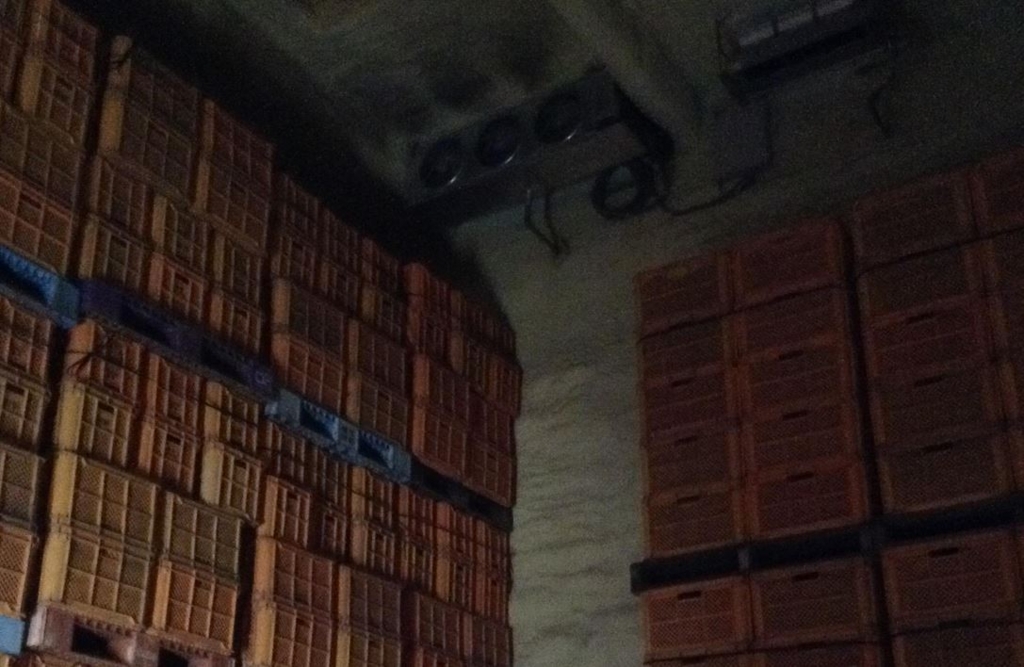 f:id:ptgj:20170504211645j:plain