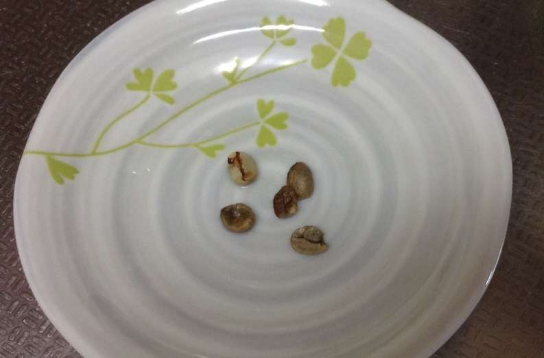 f:id:ptgj:20170905194943j:plain