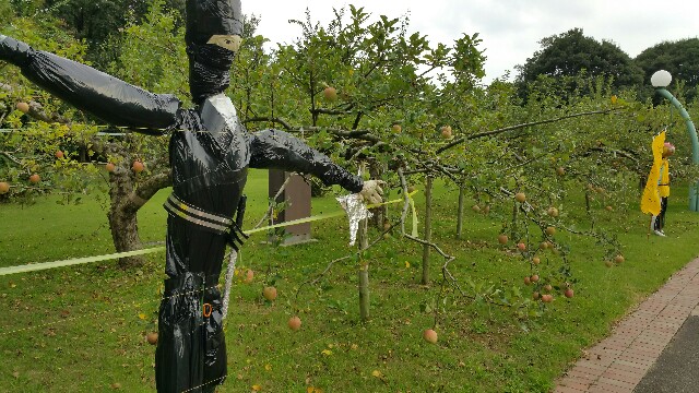 f:id:ptgj:20171003074743j:image