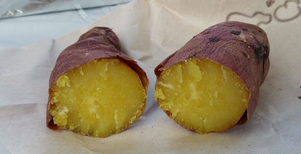 f:id:ptgj:20171007182436j:plain f:id:ptgj:20171007182436j:plain