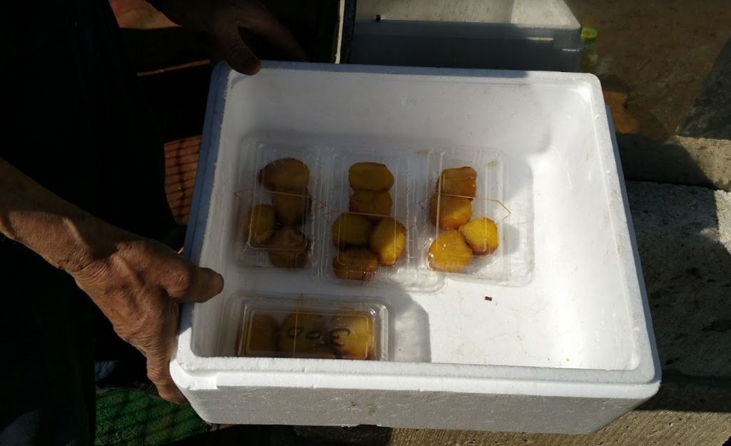 f:id:ptgj:20180317202539j:plain