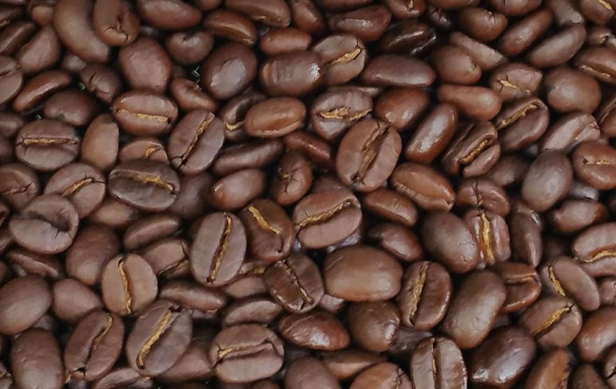 f:id:ptgj:20180624102625j:plain