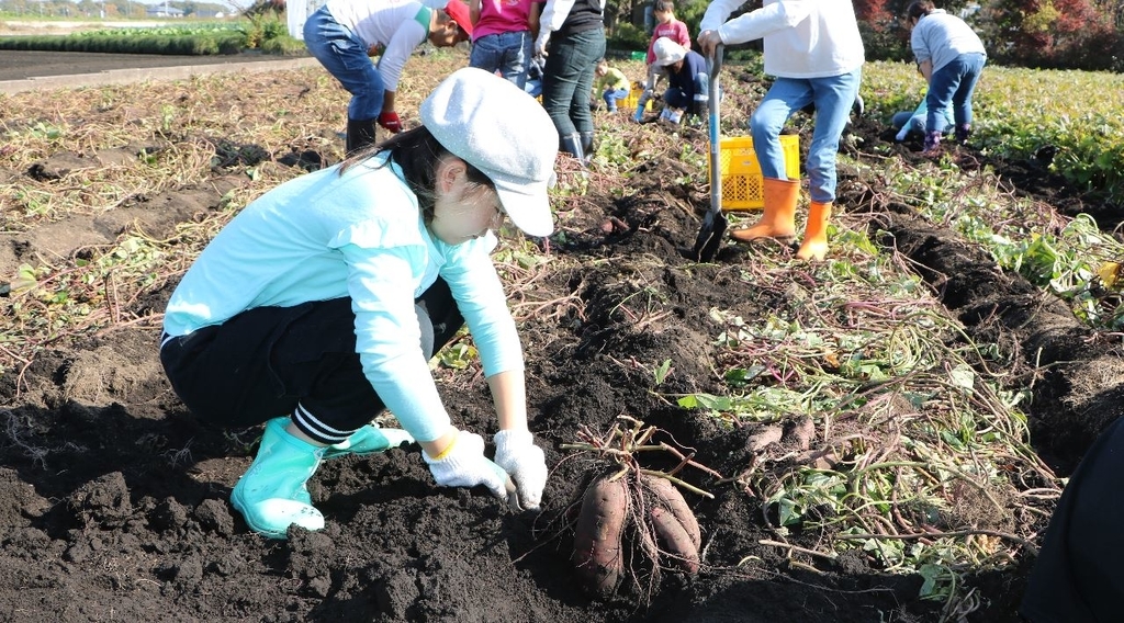 f:id:ptgj:20181111131706j:plain