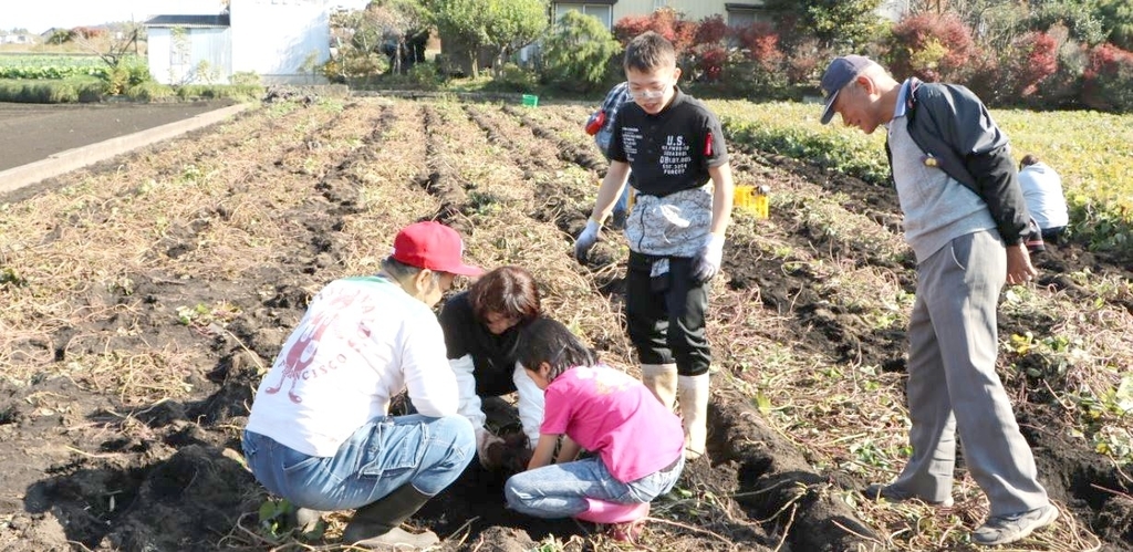 f:id:ptgj:20181111133255j:plain