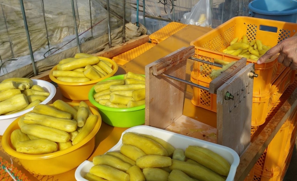 f:id:ptgj:20190204204925j:plain