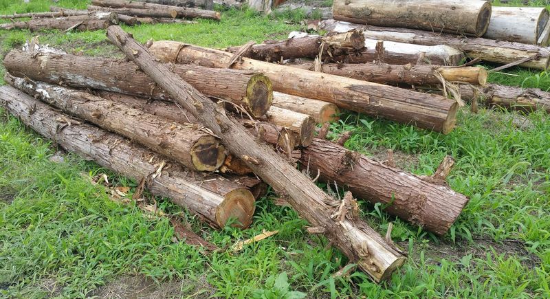 f:id:ptgj:20190720172810j:plain