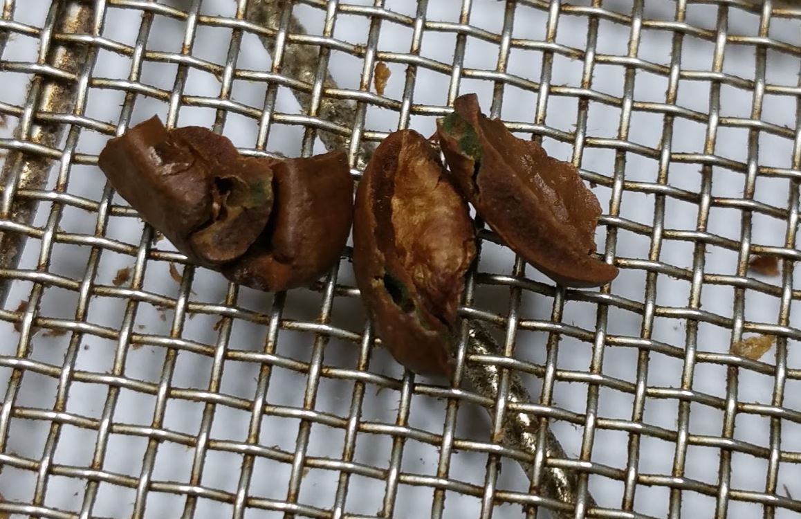 f:id:ptgj:20190907191607j:plain f:id:ptgj:20190907191607j:plain