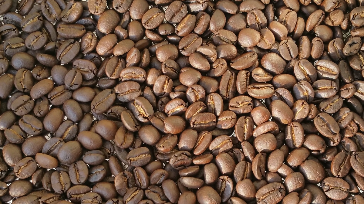 f:id:ptgj:20191017152700j:plain