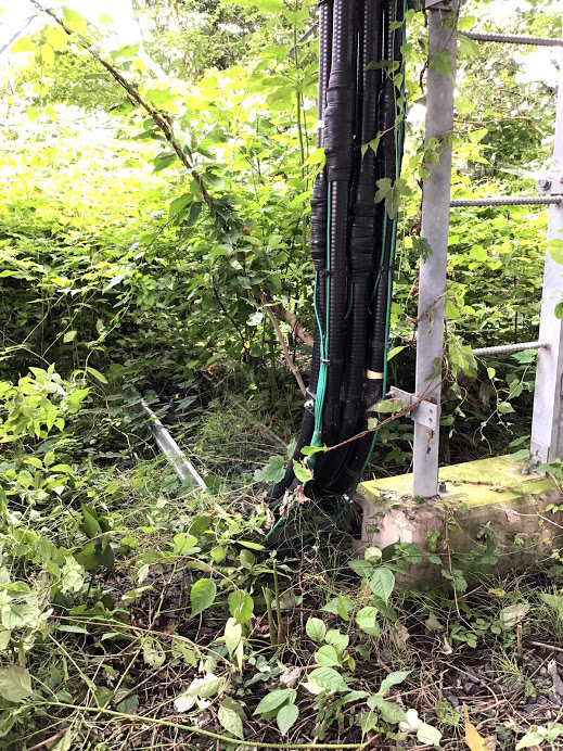 f:id:ptgj:20200812081807j:plain