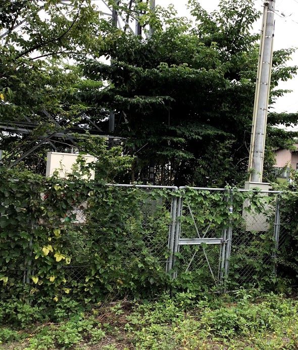 f:id:ptgj:20200812082010j:plain