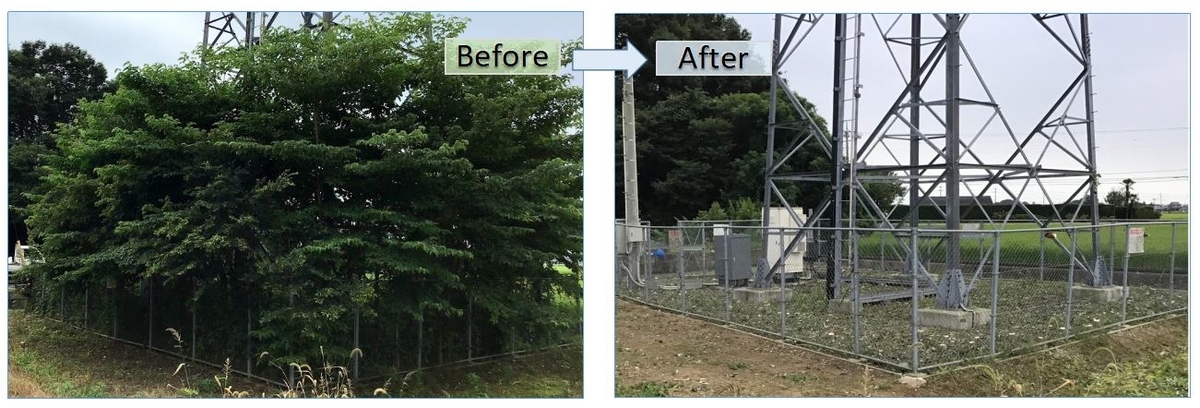 f:id:ptgj:20200921071934j:plain