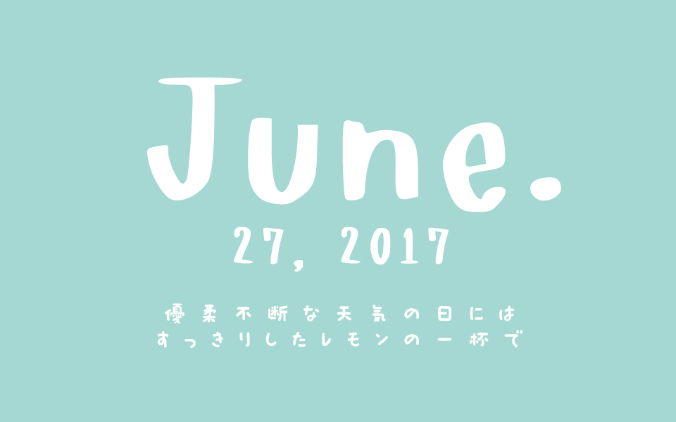 f:id:ptkabe:20170627080836j:plain