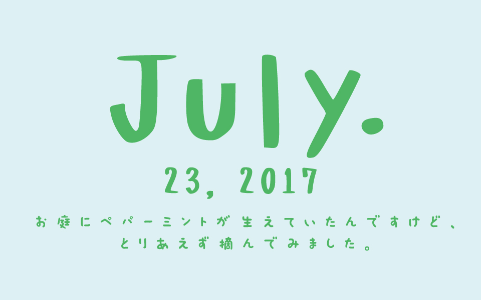 f:id:ptkabe:20170723114338j:plain