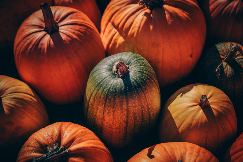 f:id:ptkabe:20171102072309j:plain