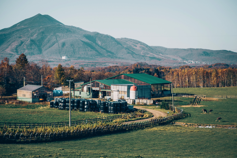 f:id:ptkabe:20171102072327j:plain