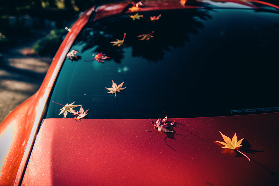 f:id:ptkabe:20171102072331j:plain