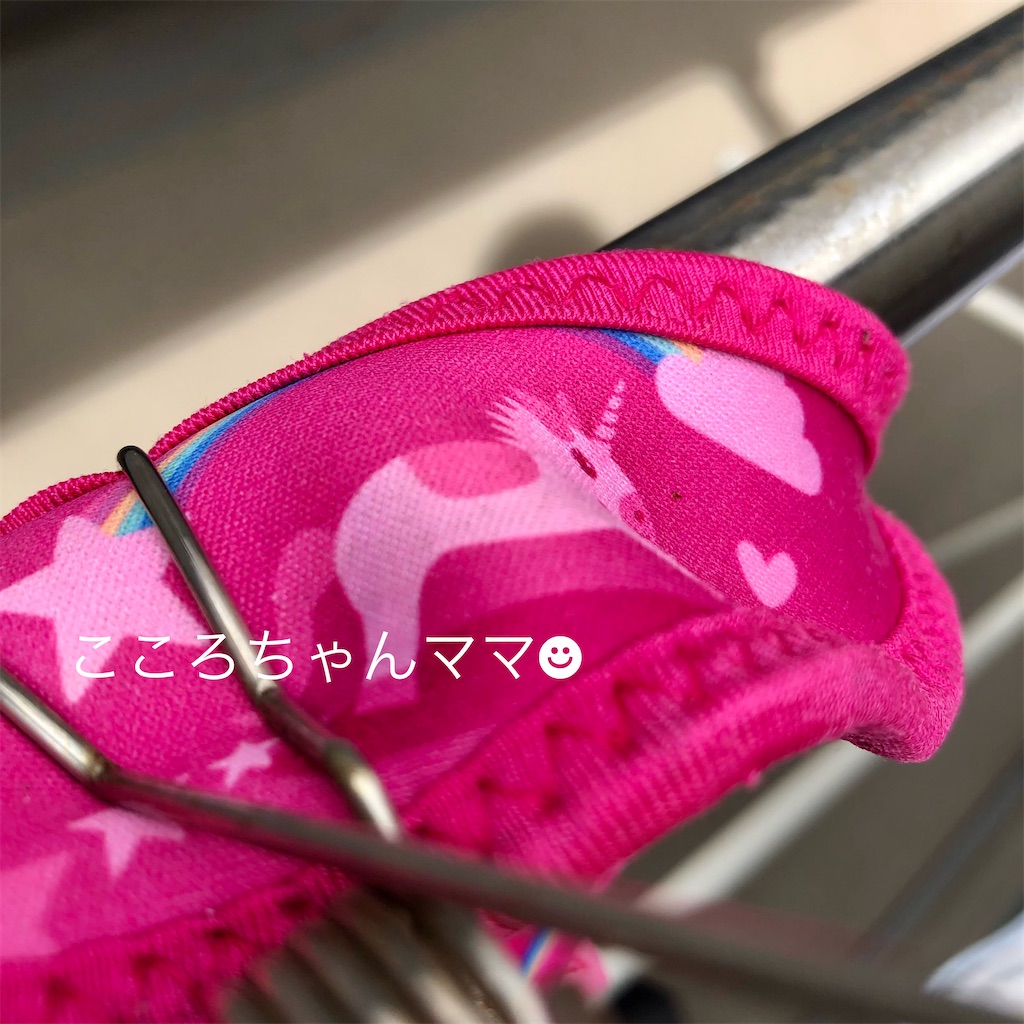f:id:ptolemychan:20210803091033j:image