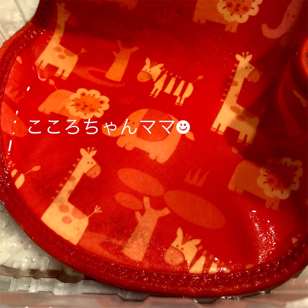 f:id:ptolemychan:20210803091052j:image