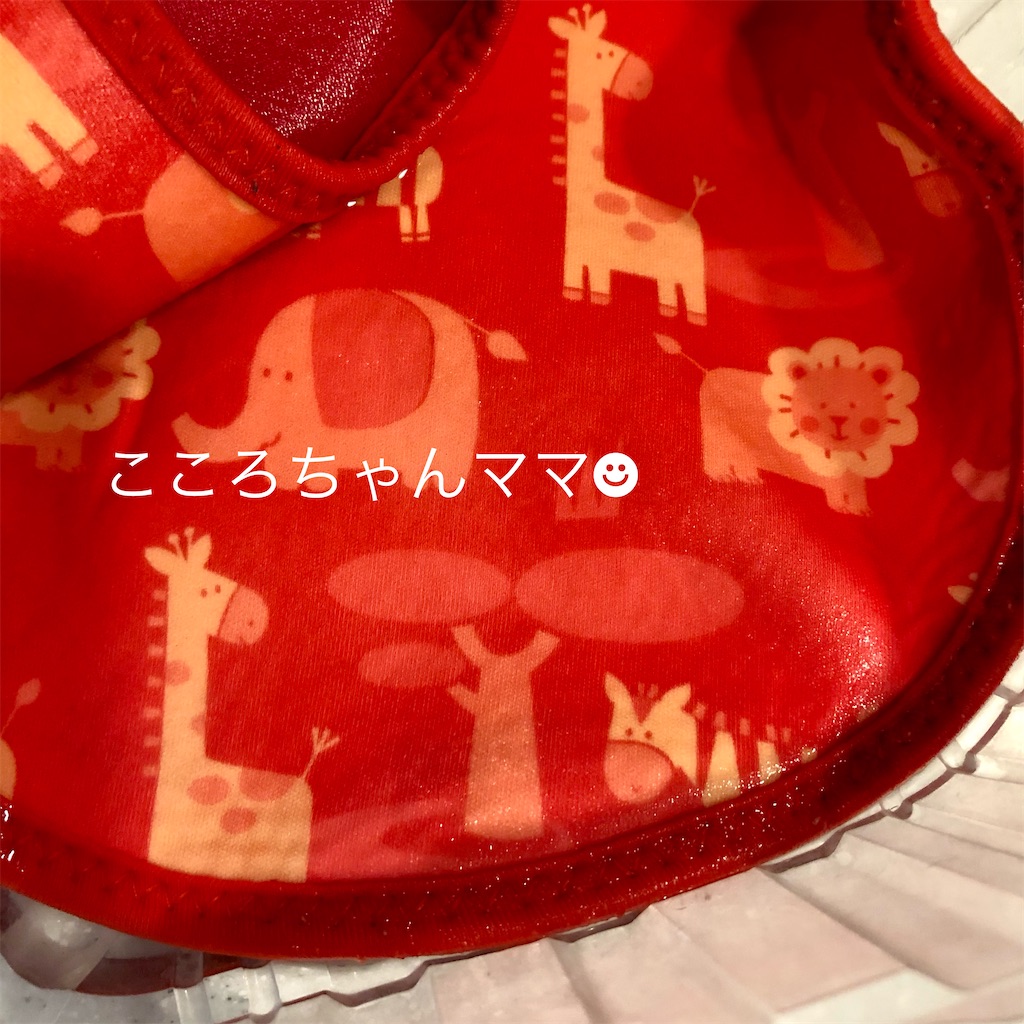 f:id:ptolemychan:20210803091130j:image