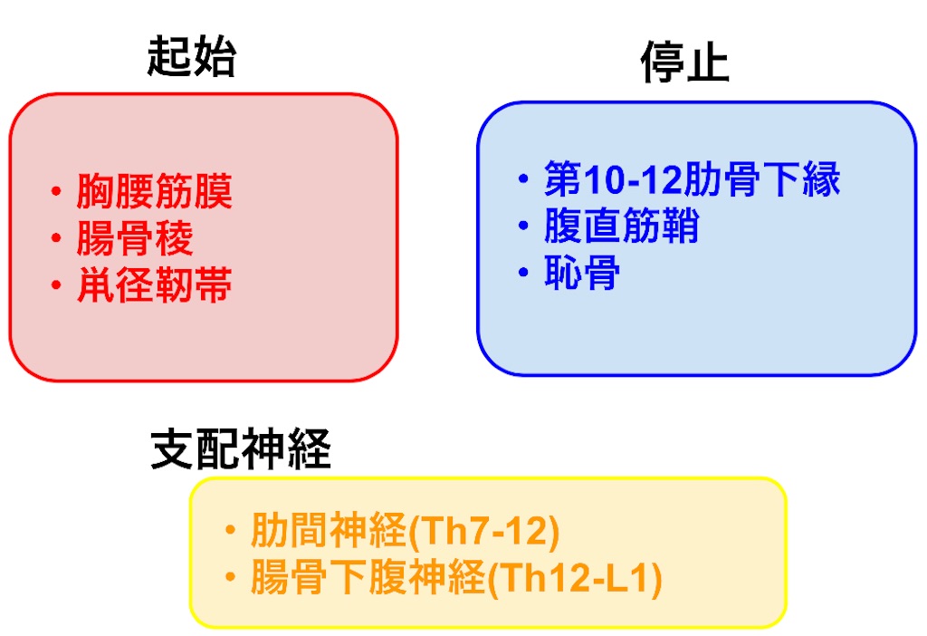 f:id:ptoutput:20220117135541j:image f:id:ptoutput:20220117135541j:image