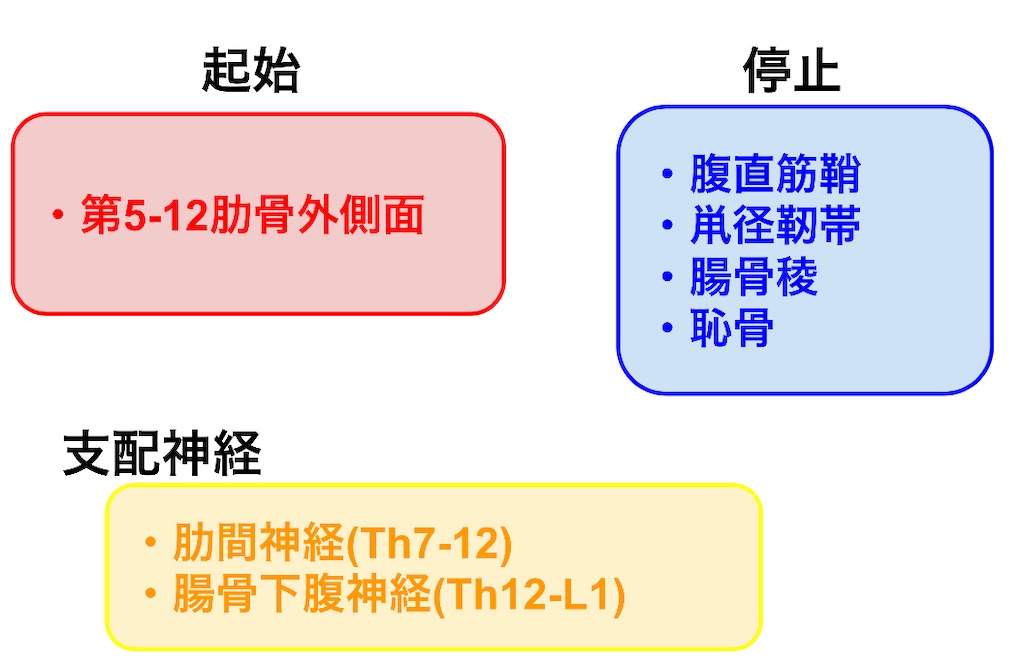 f:id:ptoutput:20220117135715j:image f:id:ptoutput:20220117135715j:image