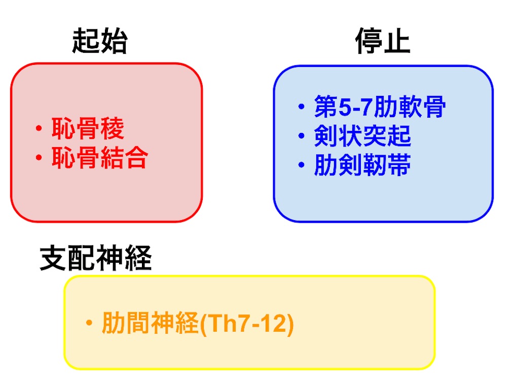 f:id:ptoutput:20220117140034j:image f:id:ptoutput:20220117140034j:image