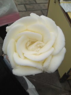 f:id:ptpl-k:20090309114842j:image f:id:ptpl-k:20090309114842j:image