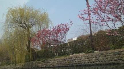f:id:ptpl-k:20090310113623j:image f:id:ptpl-k:20090310113623j:image