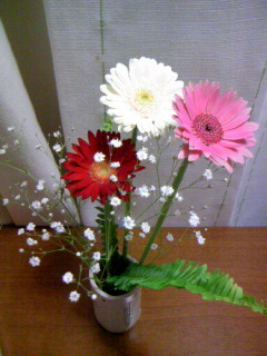 f:id:ptpl-k:20090315174320j:image f:id:ptpl-k:20090315174320j:image