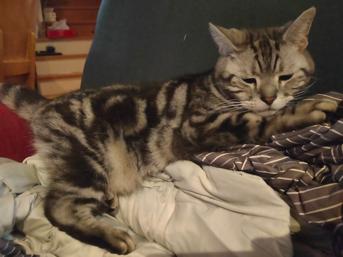 f:id:ptr-yudai:20211201000502j:plain:w32:h24