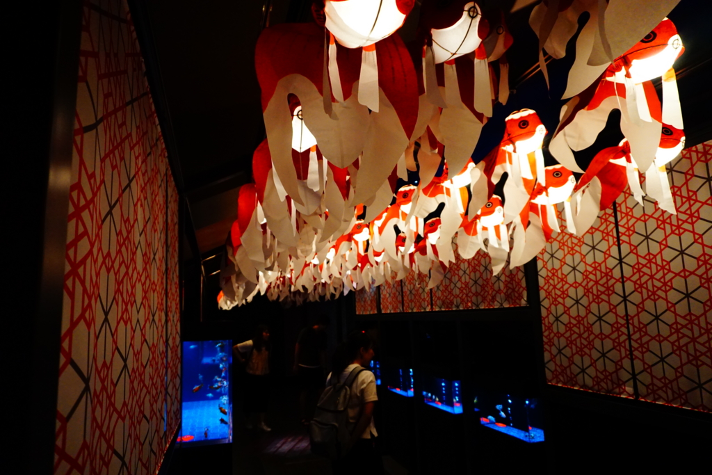 f:id:ptskunx:20160802205158j:plain