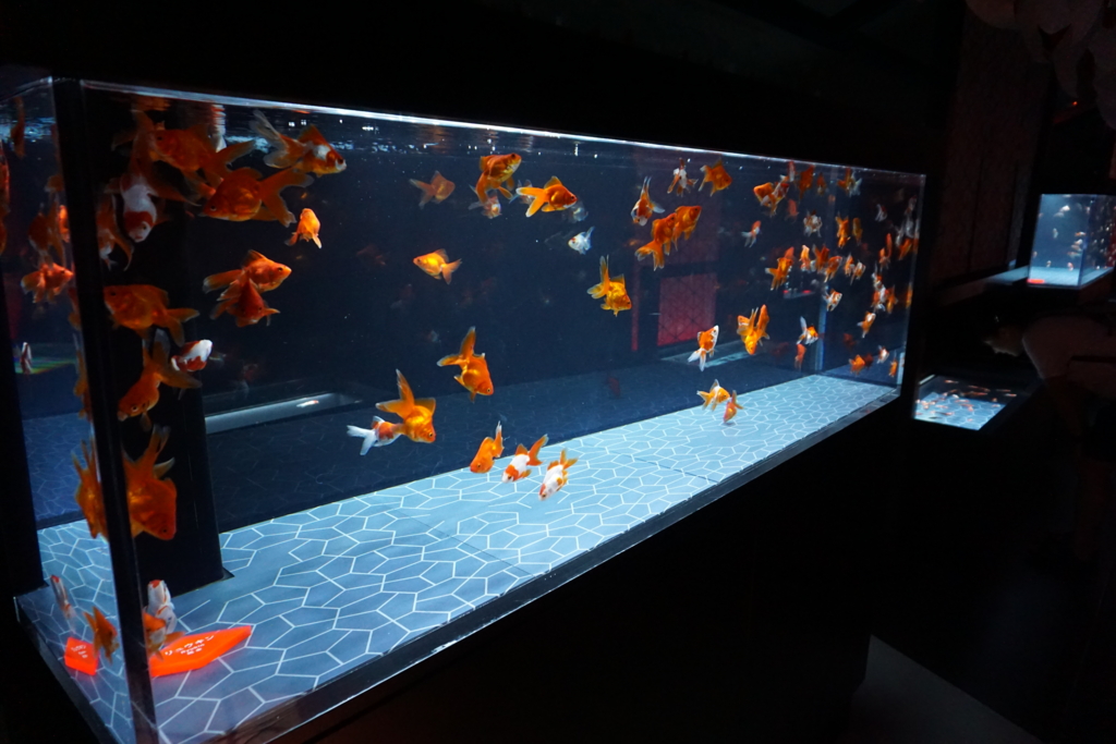 f:id:ptskunx:20160802205351j:plain