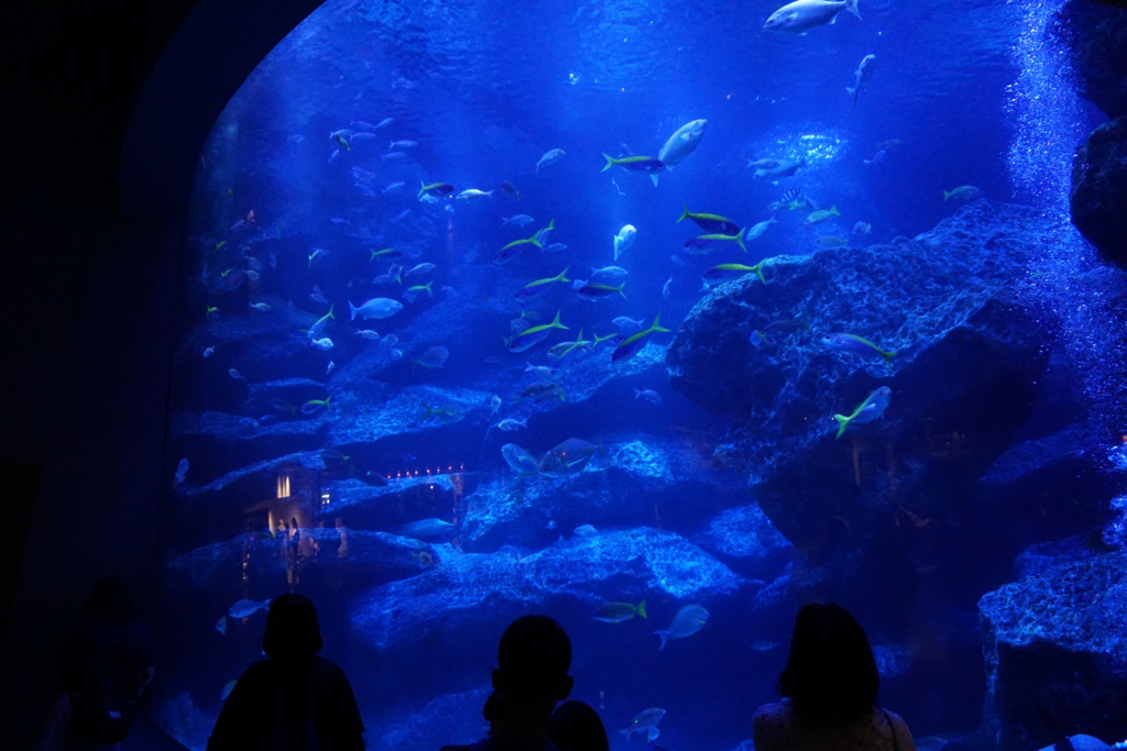 f:id:ptskunx:20160802211249j:plain