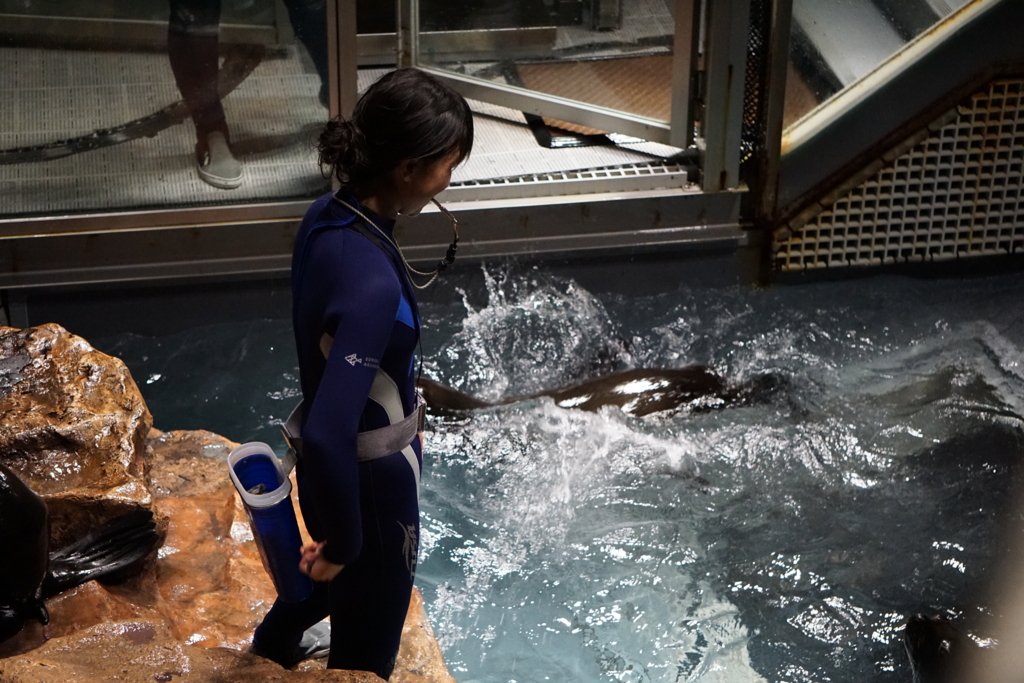 f:id:ptskunx:20160802211700j:plain