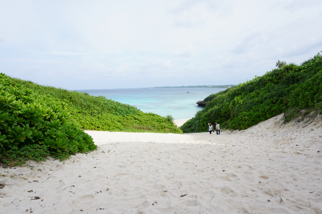 f:id:ptskunx:20161129085741j:plain