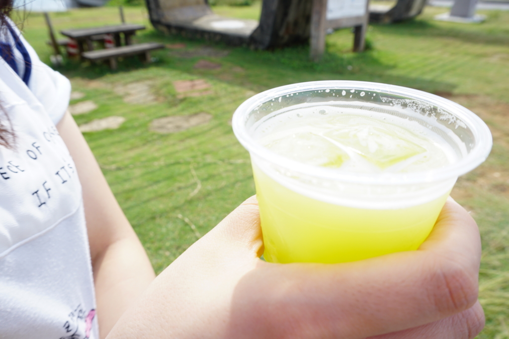 f:id:ptskunx:20161129092650j:plain