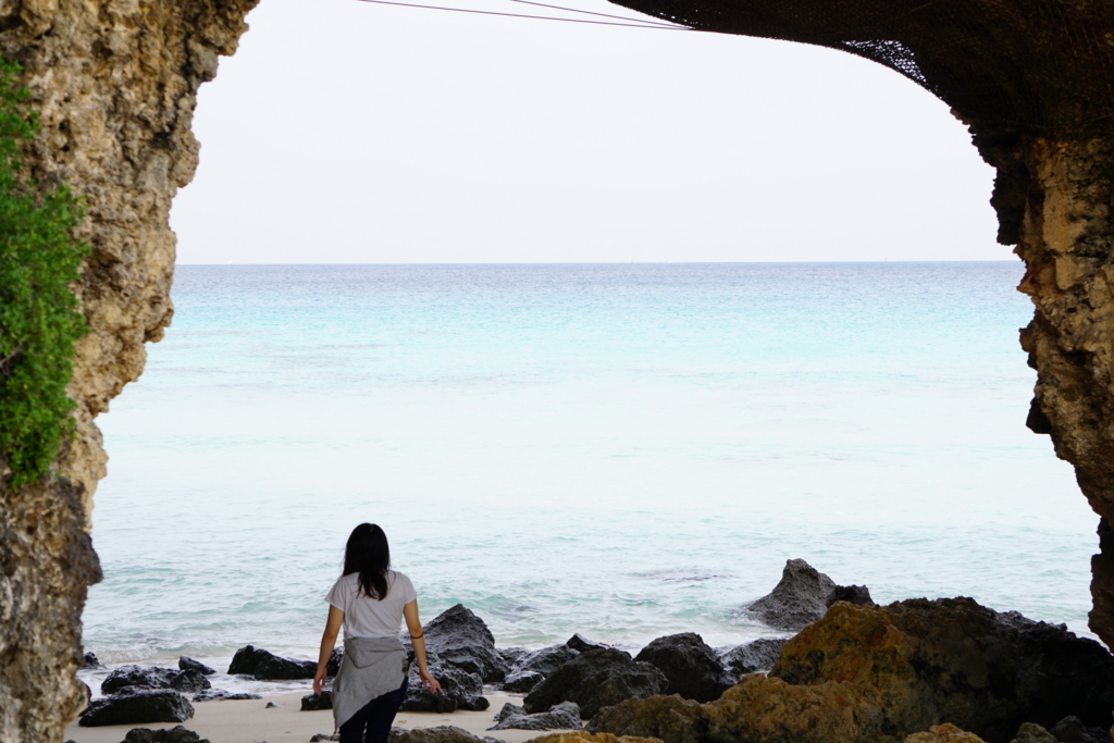 f:id:ptskunx:20161129183850j:plain