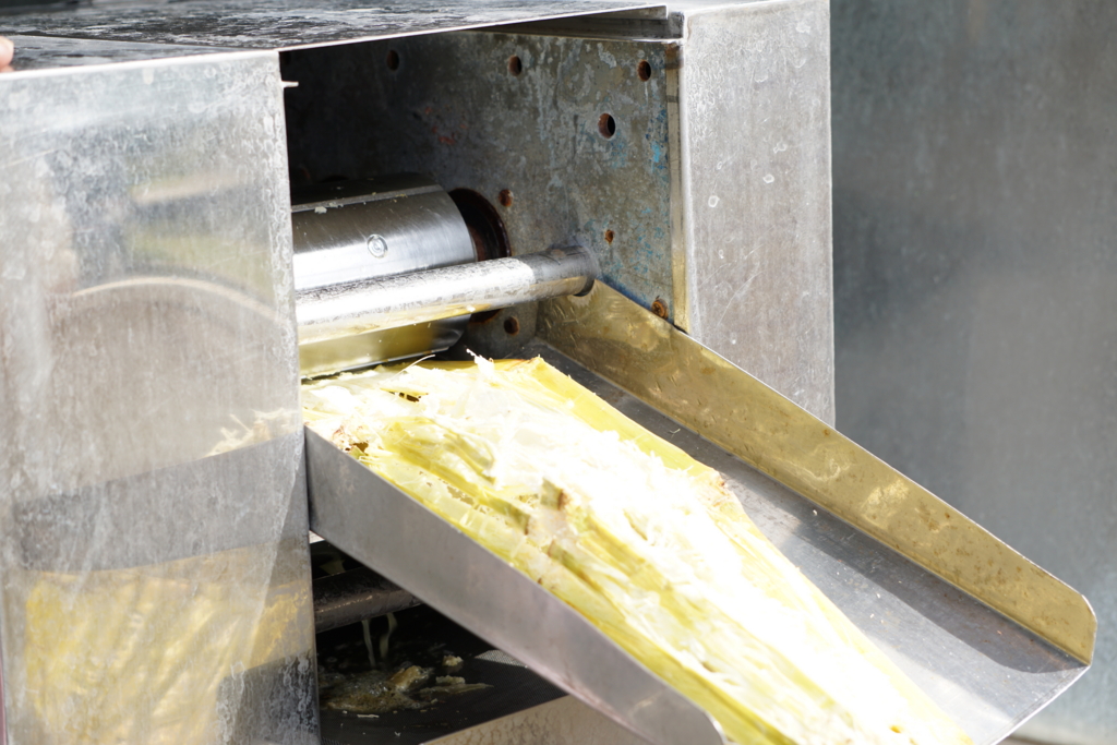 f:id:ptskunx:20161129203804j:plain