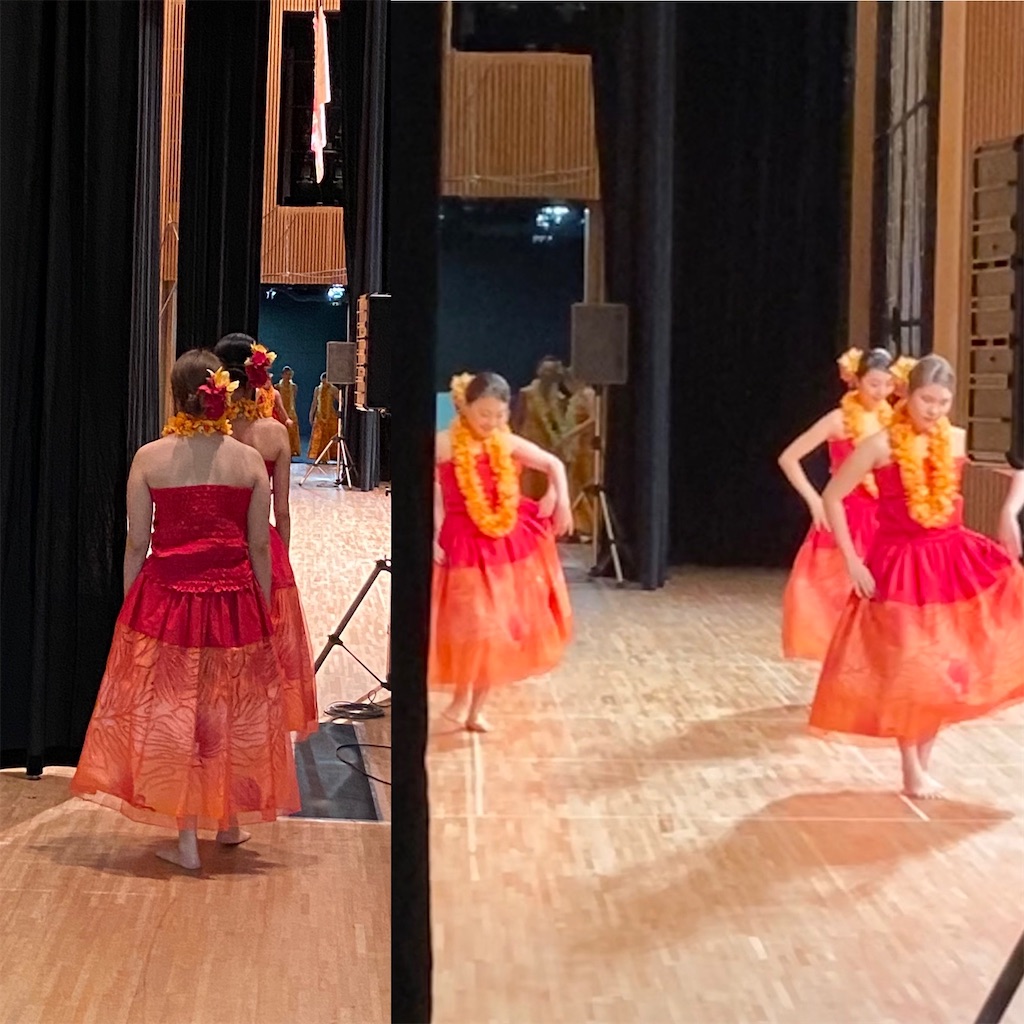 f:id:pualaniyumi:20201206205247j:image f:id:pualaniyumi:20201206205247j:image