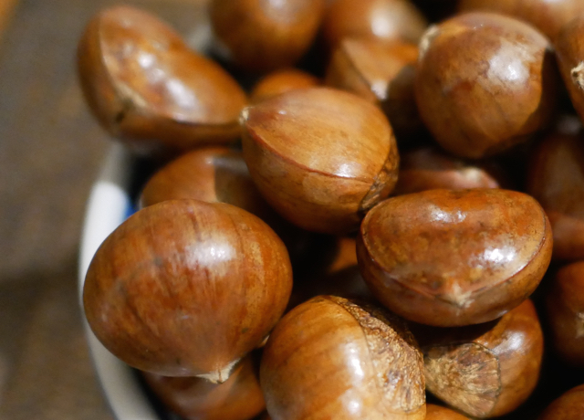 f:id:pucayu:20171025081609j:plain