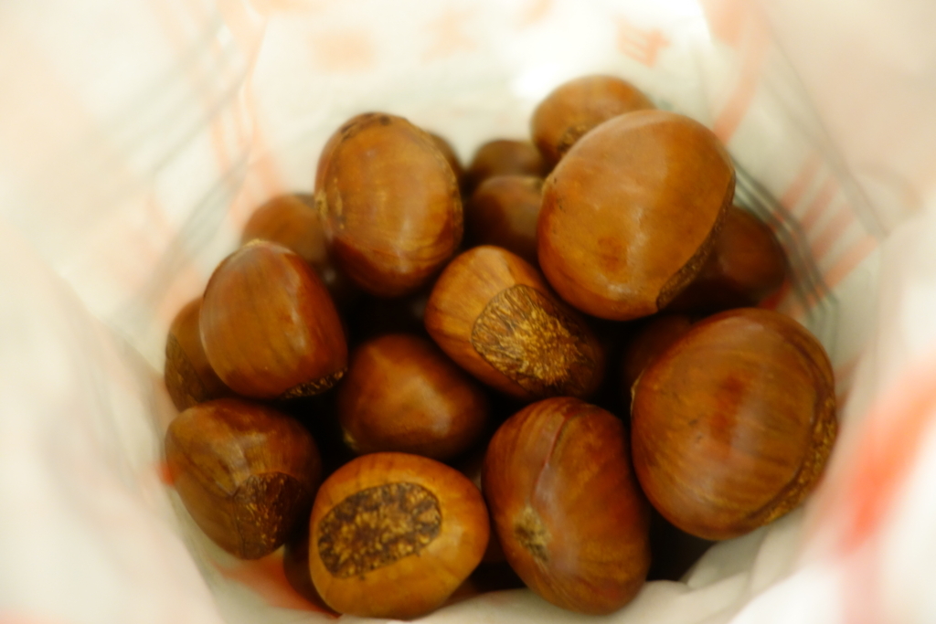 f:id:pucayu:20171026080913j:plain