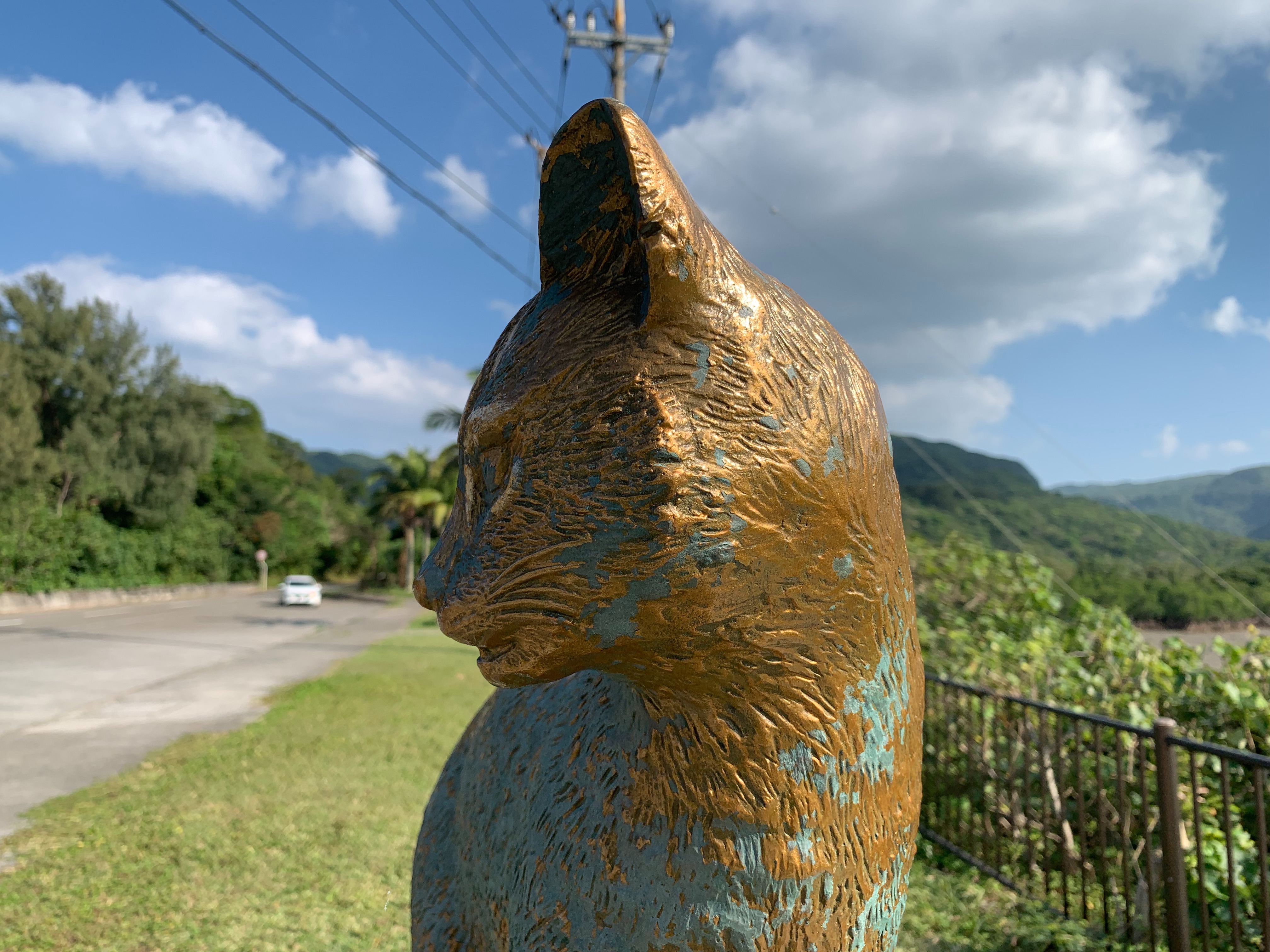 f:id:pucayu:20240212213316j:image