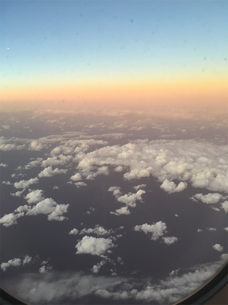 f:id:puch0o:20190109222104j:plain f:id:puch0o:20190109222104j:plain