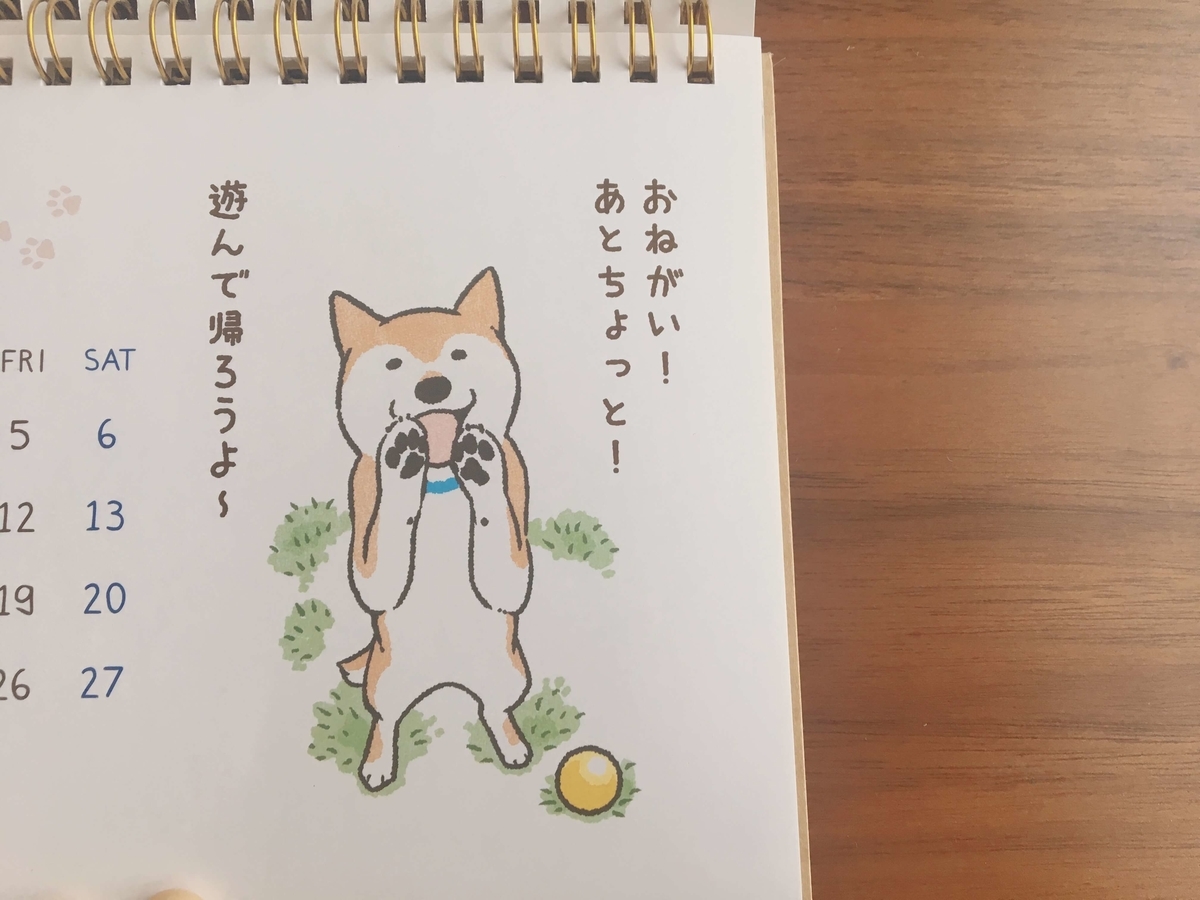 年カレンダー 柴犬好き必買 今年もセリアの卓上わんにゃんカレンダーを購入しました ぷちこの暮らし研究 年カレンダー 柴犬好き必買 今年もセリアの卓上わんにゃんカレンダーを購入しました ぷちこの暮らし研究