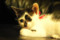 20120307072038