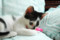 20120307155726