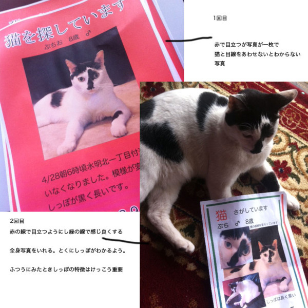 20120501040636